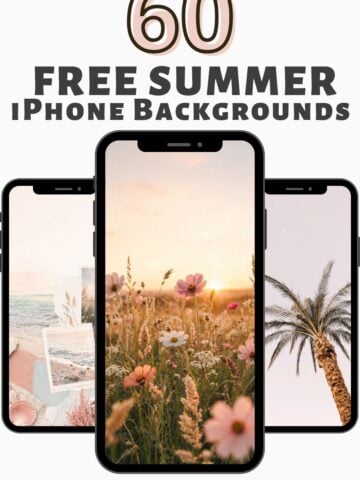 Download these pretty summer quote iPhone wallpapers for a soft, sunny refresh! This collection includes aesthetic beach wallpapers, floral summer lock screens, tropical quote backgrounds, and cute summer phone wallpapers with feminine typography. Perfect for anyone who loves warm sunsets, ocean waves, daisies, pastel fruit, and cozy summer vibes.
