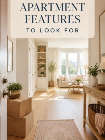 Bright, airy apartment with practical storage, an open layout and moving boxes near the entry.