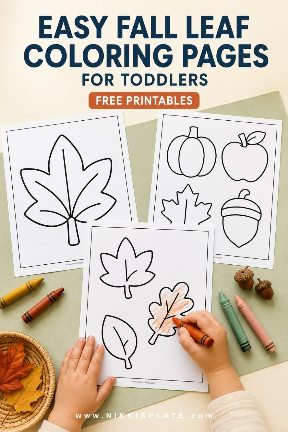 Easy fall leaf coloring pages for toddlers. Large leaf shapes are easy for little hands to fill with red, orange, yellow, brown, or even rainbow colors. Print a few different leaves and use them after a nature walk to talk about the shapes and colors your toddler noticed outside.
