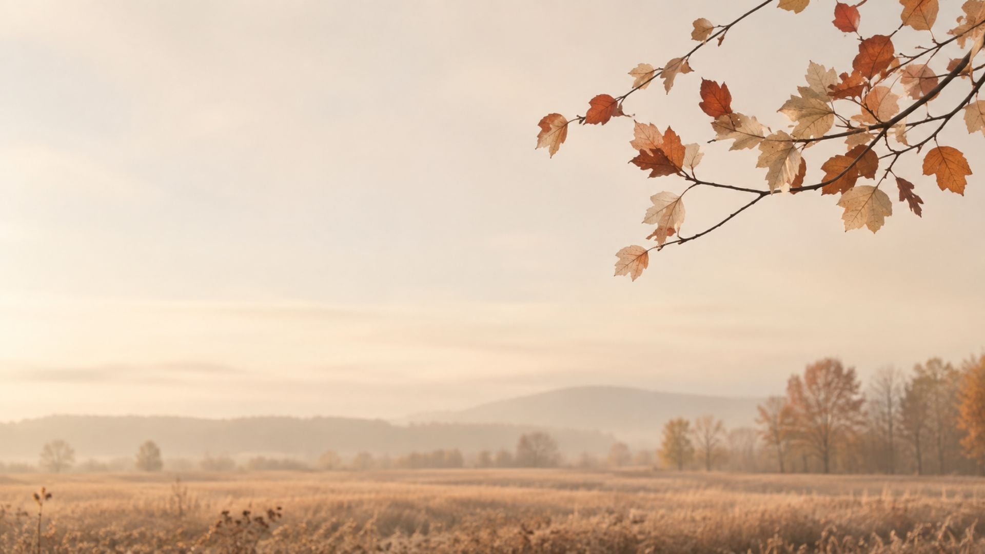 Autumn desktop wallpaper featuring a soft golden meadow, distant hills and a branch of rust-coloured fall leaves.