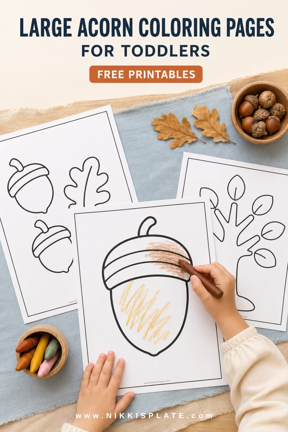 Large acorn coloring page for toddlers with a chunky cap and bold outline.