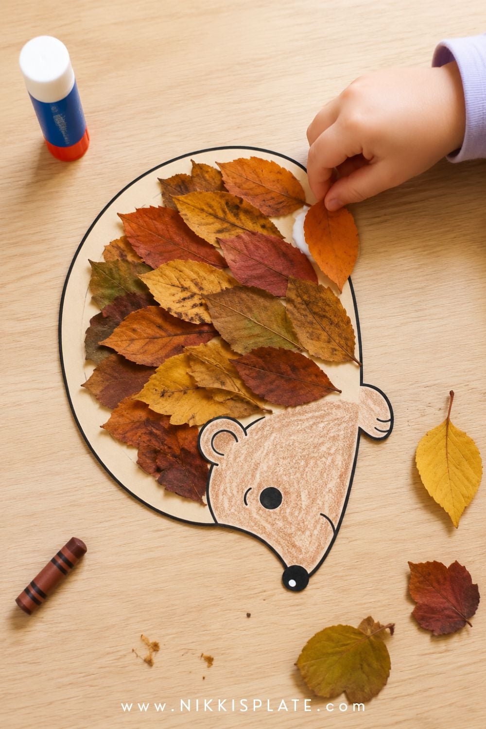 Child adding a real autumn leaf to a printable hedgehog craft covered with rust, yellow and green leaves.