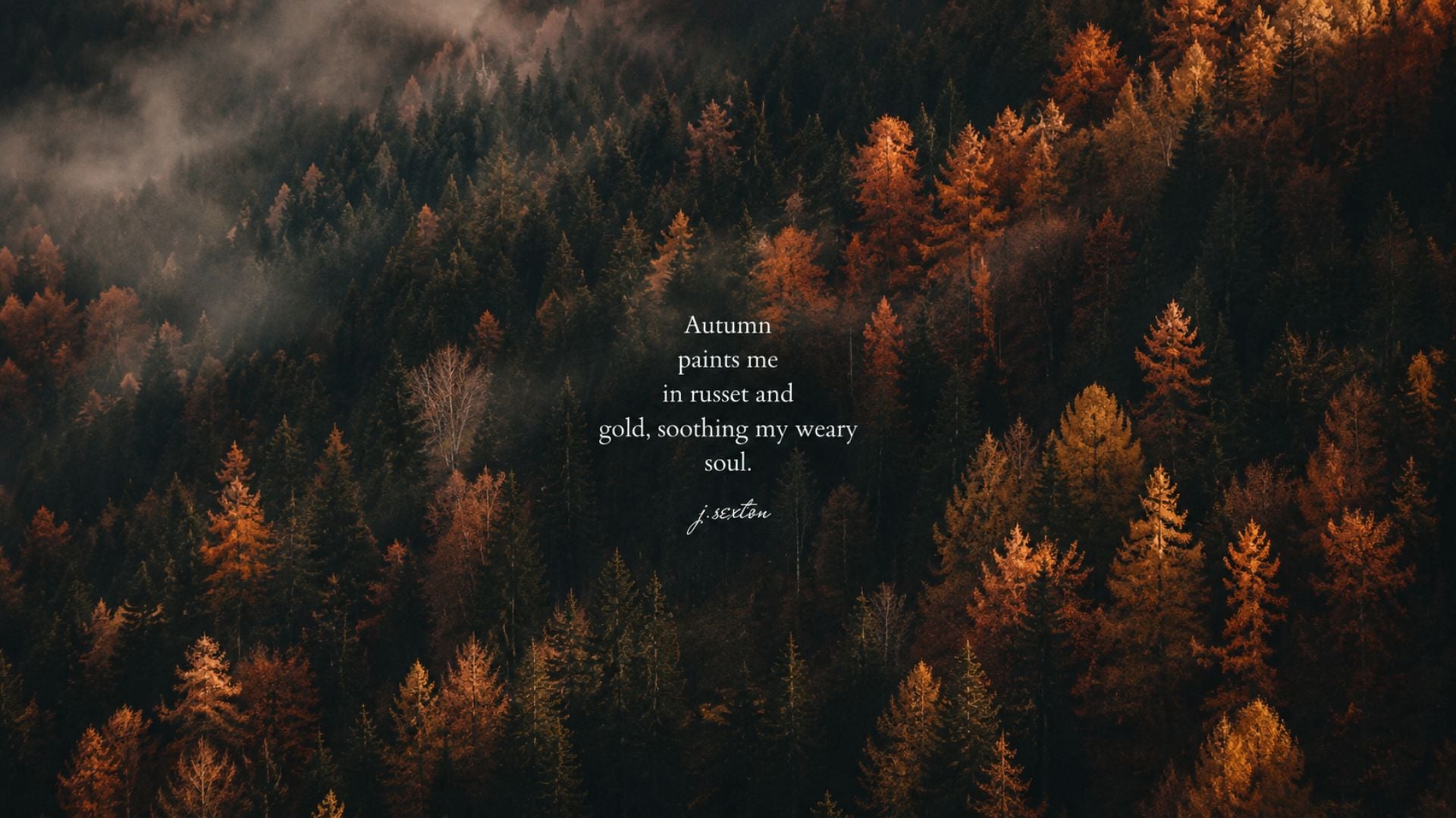 Moody fall desktop wallpaper featuring a dark misty forest and the quote,
