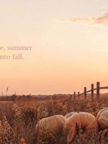 35 free aesthetic fall desktop wallpapers featuring colourful autumn scenery, watercolor pumpkins, cozy quotes and neutral fall designs.