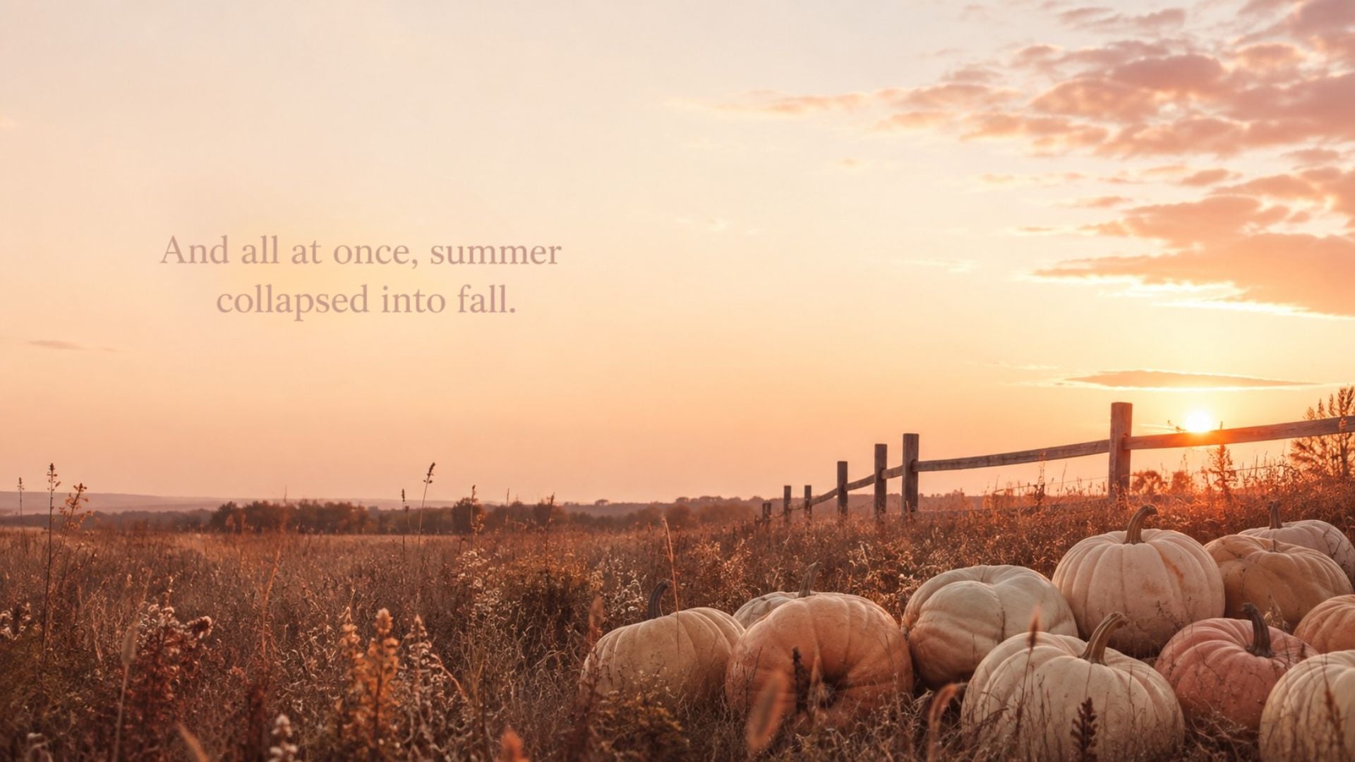 Aesthetic fall desktop wallpaper featuring blush pumpkins at sunset with the quote,