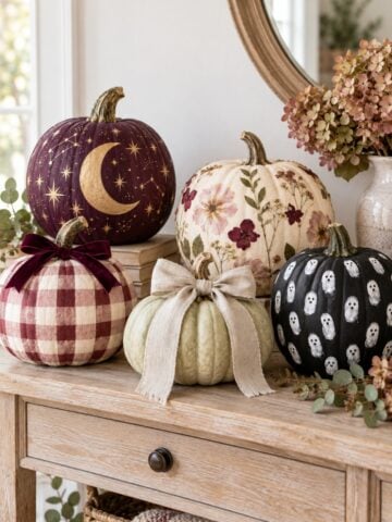 Collection of painted, floral, bow and kid-friendly no-carve pumpkins for fall and Halloween.