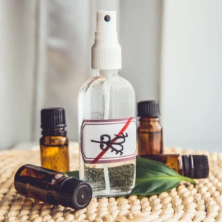 Spring is here, and so are the bugs! The number of ticks we have seen this year already is terrifying! Time to make a batch of my natural bug spray repellent! Recipe on my blog, link in my bio! #bugspray #cleanliving #naturalskincare #essentialoils
